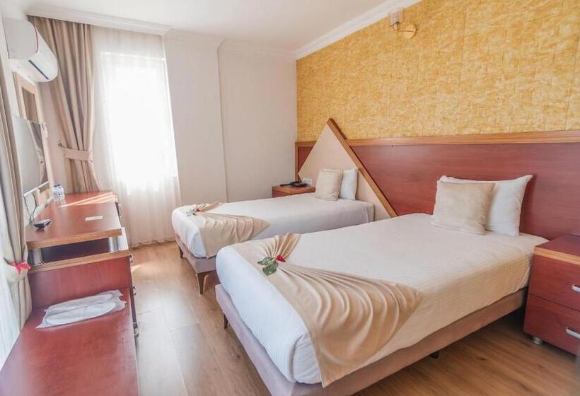 اتاق استاندارد, Far Life