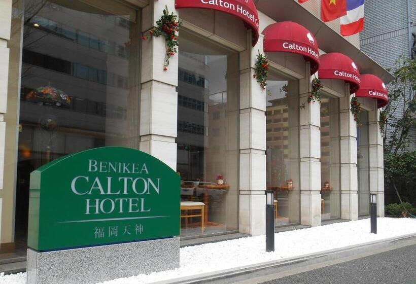 Номер Базовый Двуспальная Кровать, Benikea Calton Hotel Fukuoka Tenjin