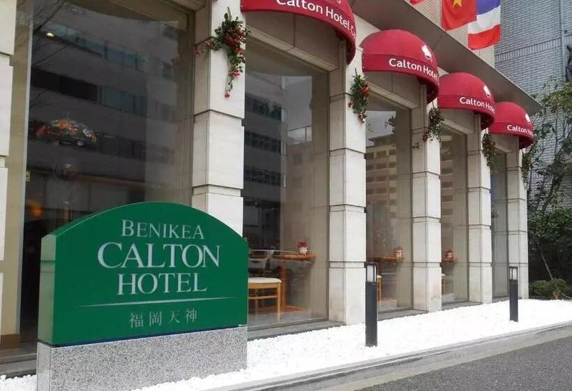 ダブルベッドのベーシックルーム, Benikea Calton Hotel Fukuoka Tenjin