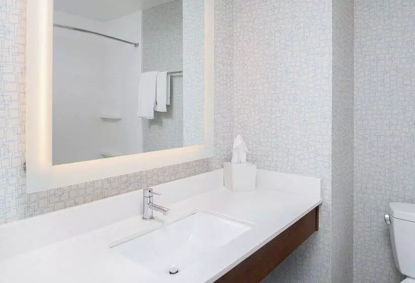 スタンダードルーム, Holiday Inn Express Hotel & Suites Bismarck By Ihg