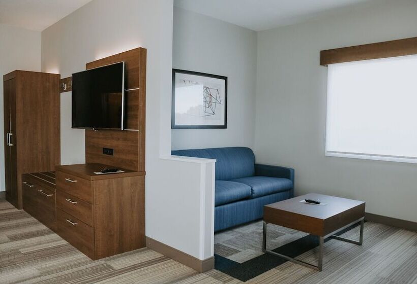 스위트, Holiday Inn Express Hotel & Suites Lincoln South, An Ihg