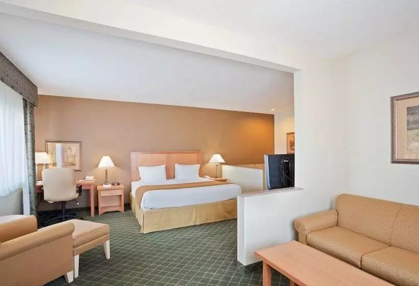 スイート, Holiday Inn Express Hotel & Suites Lincoln South, An Ihg