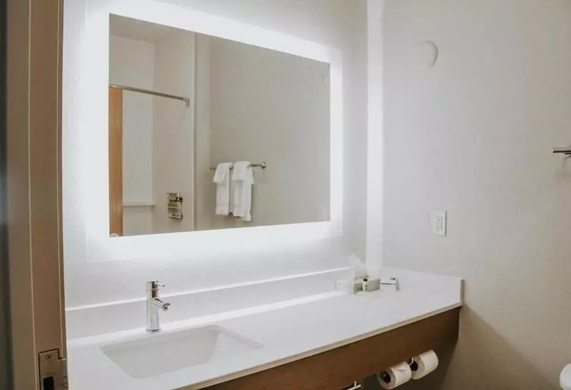 キングサイズベッドのスタンダードルーム, Holiday Inn Express Hotel & Suites Lincoln South, An Ihg