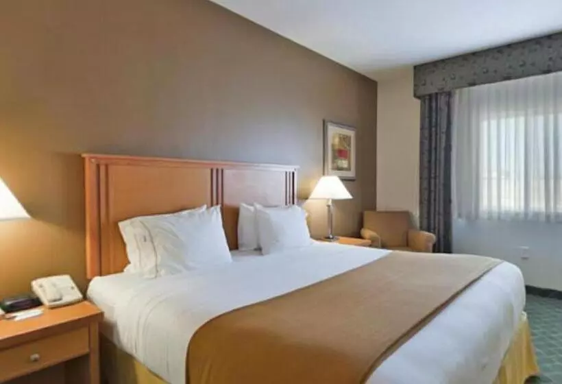 身障者適用キングサイズベッドルーム, Holiday Inn Express Hotel & Suites Lincoln South, An Ihg