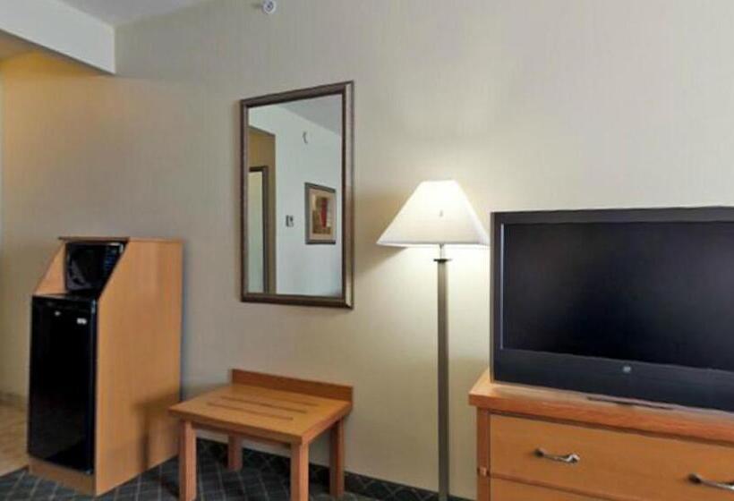 장애인을 위한 킹사이즈 침대 스탠다드 룸, Holiday Inn Express Hotel & Suites Lincoln South, An Ihg