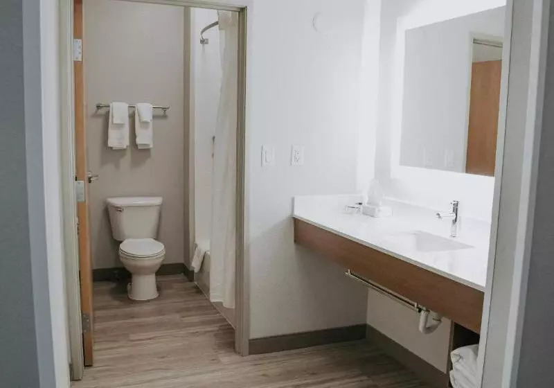 身障者適用スタンダードルーム, Holiday Inn Express Hotel & Suites Lincoln South, An Ihg