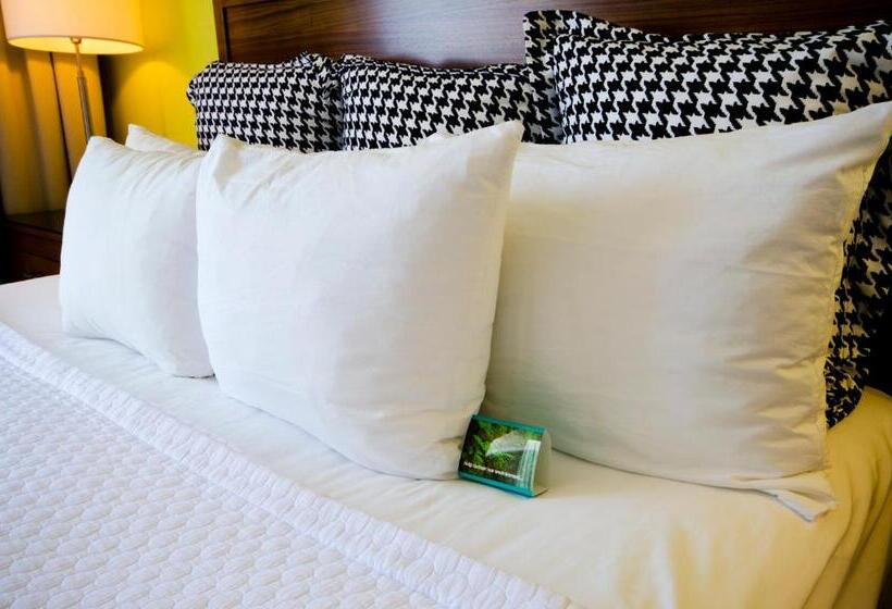 Pokój Typu Standard Przystosowany dla Osób Niepełnosprawnych, Indigo Columbus Architectural Center, An Ihg