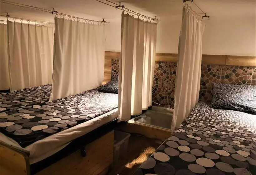 ルームシェアのワンベッド, Locomotive Hostel