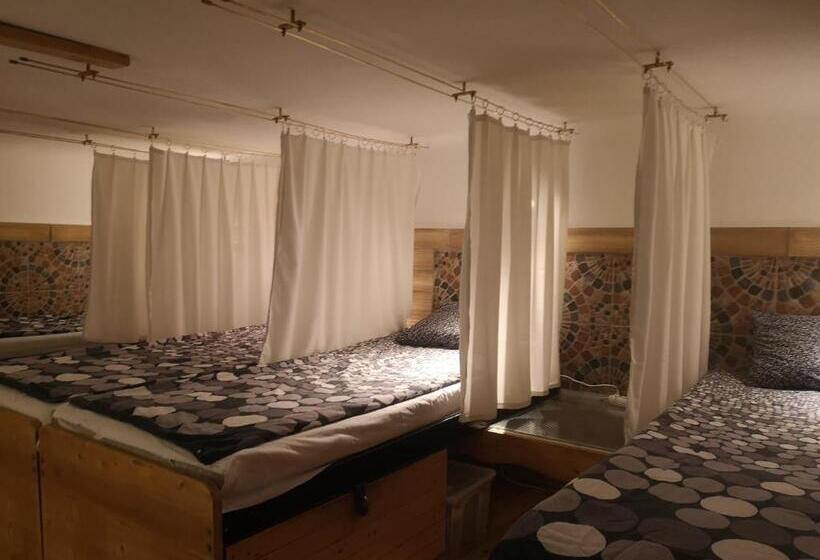 共用房间的床, Locomotive Hostel