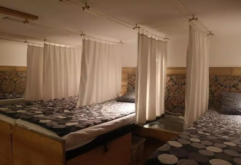 ルームシェアのワンベッド, Locomotive Hostel