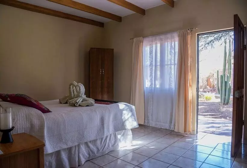 اتاق سوپریور, Hostal Katarpe