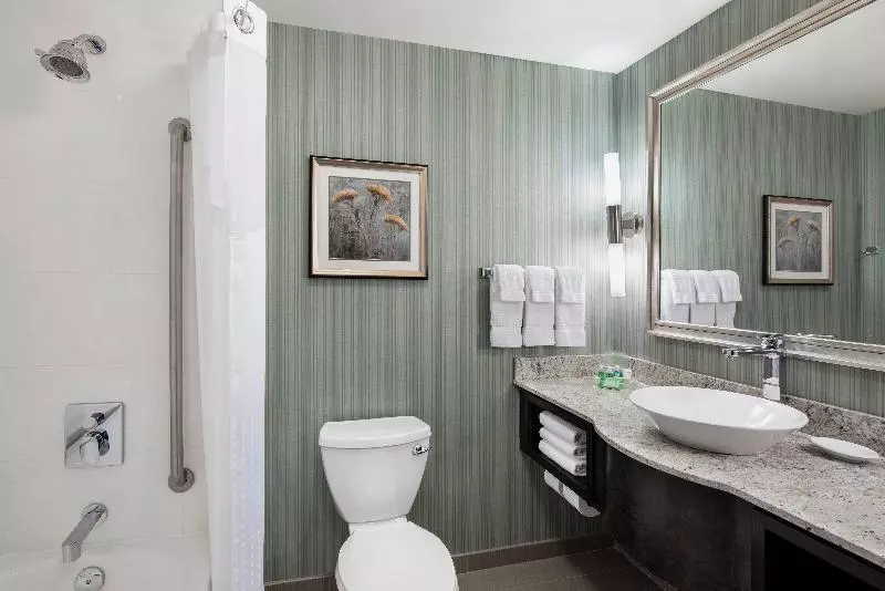 اتاق استاندارد با تخت بزرگ برای معلولان, Holiday Inn Saskatoon Downtown, An Ihg