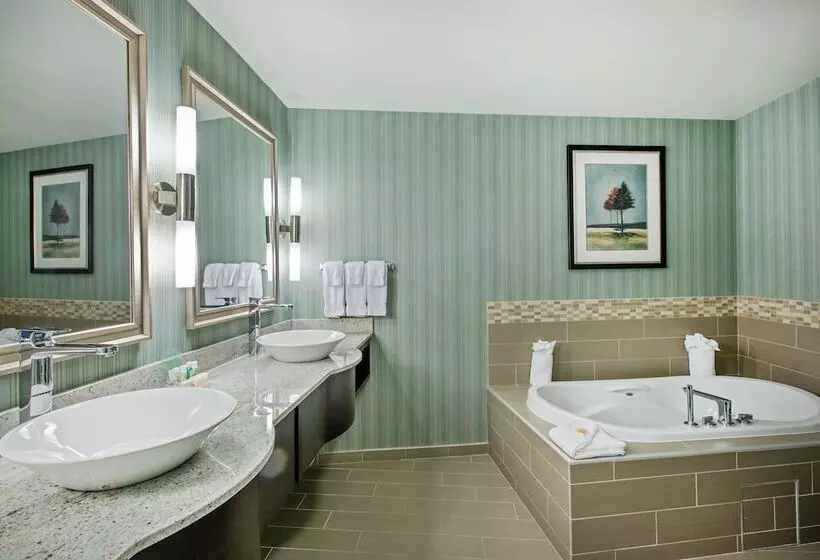 سوییت, Holiday Inn Saskatoon Downtown, An Ihg