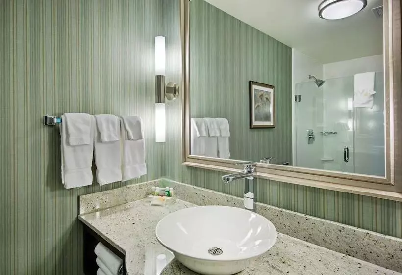 اتاق استاندارد, Holiday Inn Saskatoon Downtown, An Ihg