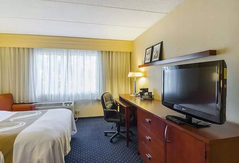 ２ダブルベッドのスタンダードルーム, Quality Inn Bostonrevere