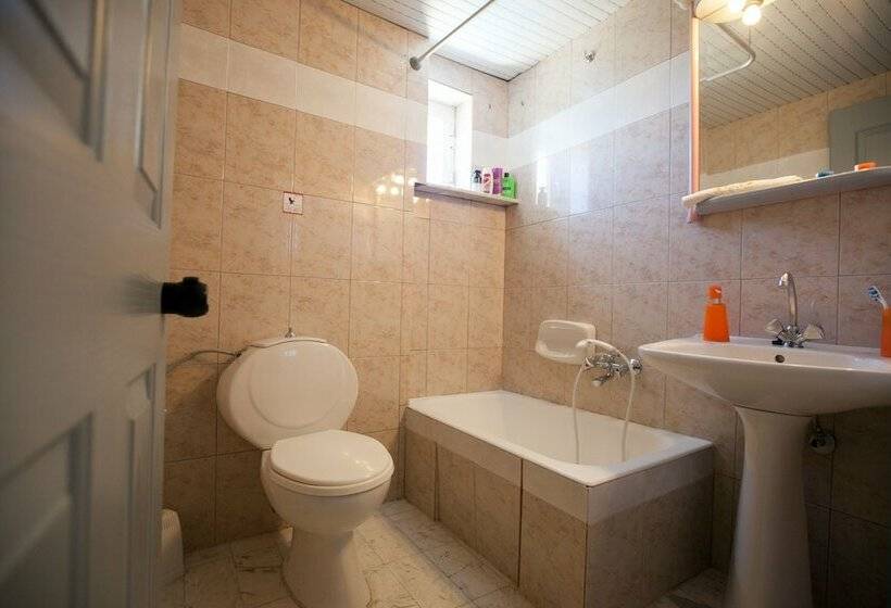 エコノミートリプルルーム, Top