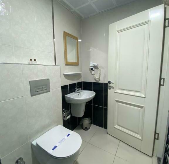 اتاق استاندارد سه نفره, Kent Ani