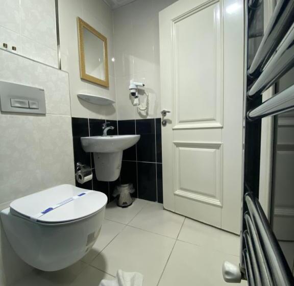 اتاق استاندارد یک نفره, Kent Ani