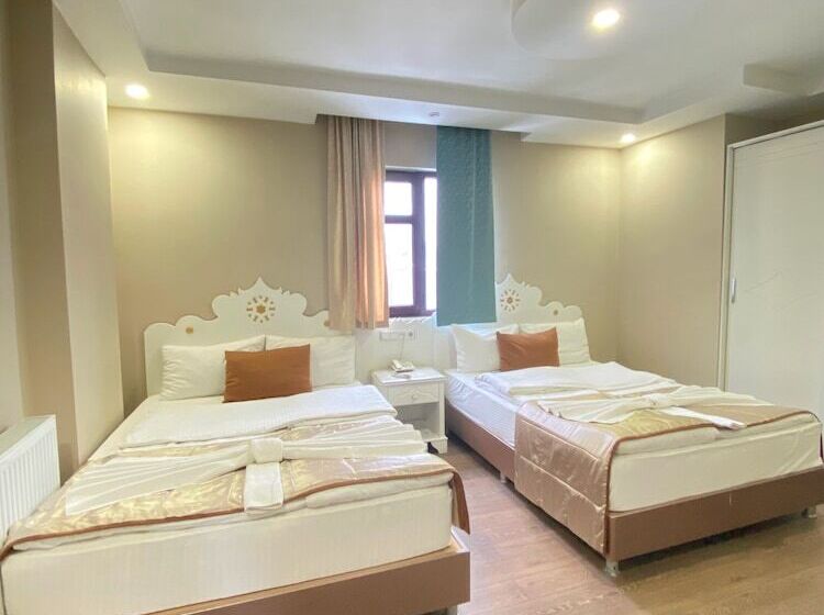 اتاق استاندارد سه نفره, Kent Ani