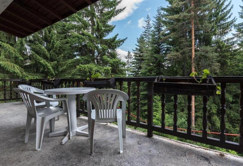 침실 1개 아파트, Ski Hotel Katerina