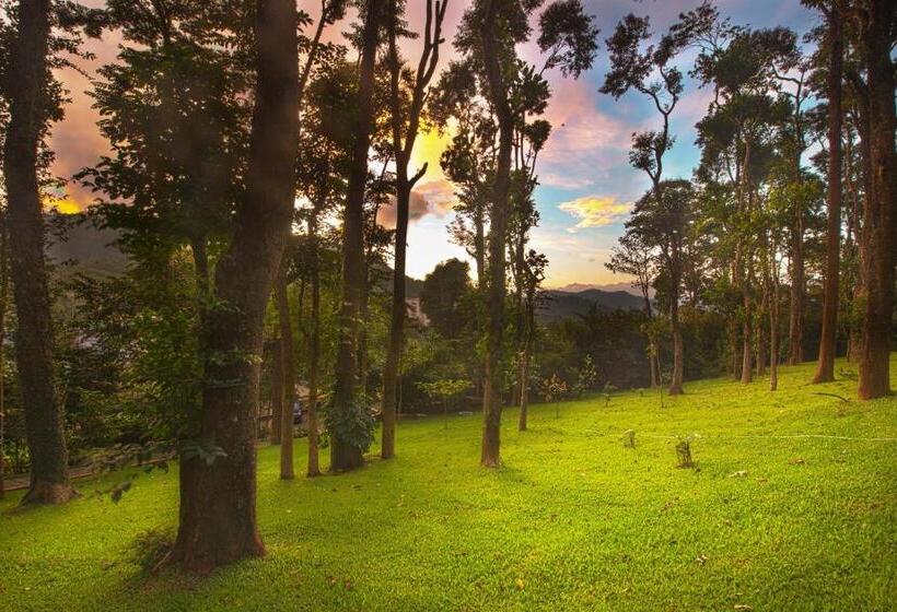 高级大房间, Greenwoods Resort, Thekkady