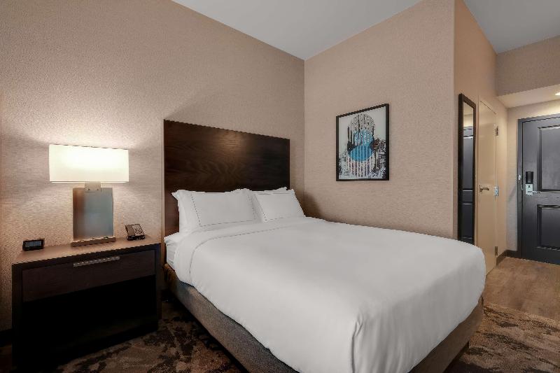 اتاق استاندارد با تخت بزرگ, Doubletree By Hilton Denver International Airport