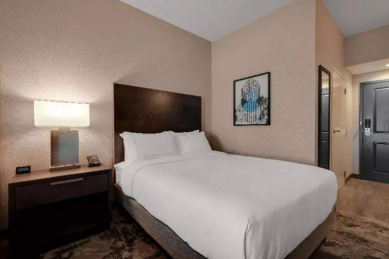 キングサイズベッドのスイートルーム, Doubletree By Hilton Denver International Airport