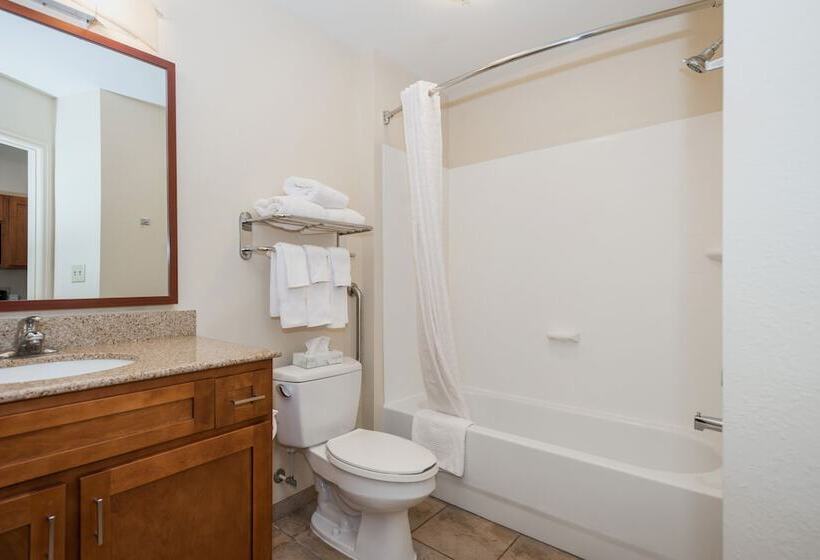 标准工作室, Candlewood Suites Mobile Downtown, An Ihg