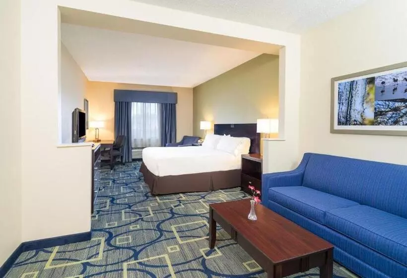 キングサイズベッドのスタンダードルーム, Holiday Inn Express Hotel & Suites Easton, An Ihg