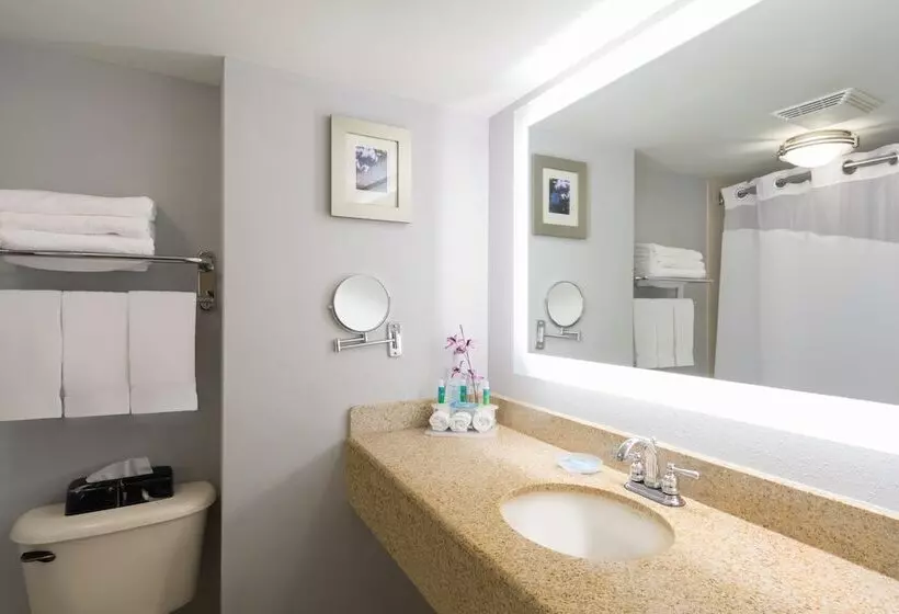 スタンダードルーム, Holiday Inn Express Hotel & Suites Easton, An Ihg
