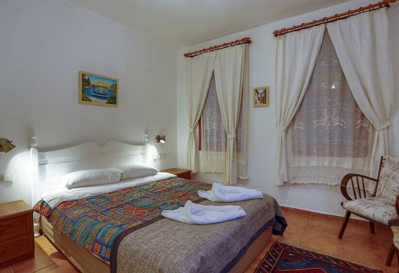 Camera Standard, Atelya Art