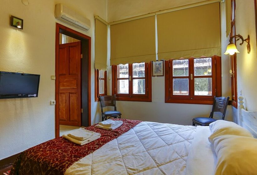 Camera Standard, Atelya Art