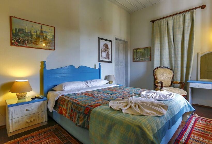 Camera Standard, Atelya Art