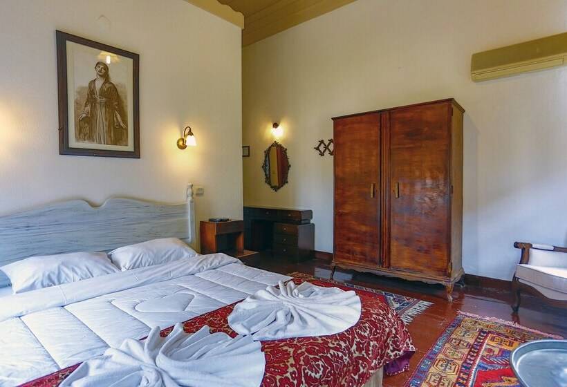 Camera Standard, Atelya Art