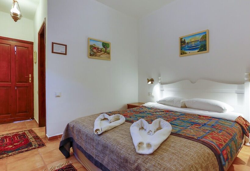 Camera Standard, Atelya Art