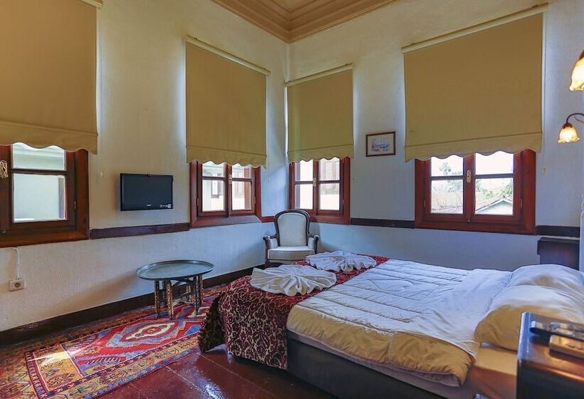 Camera Standard, Atelya Art