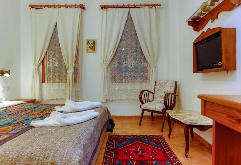 Camera Standard, Atelya Art