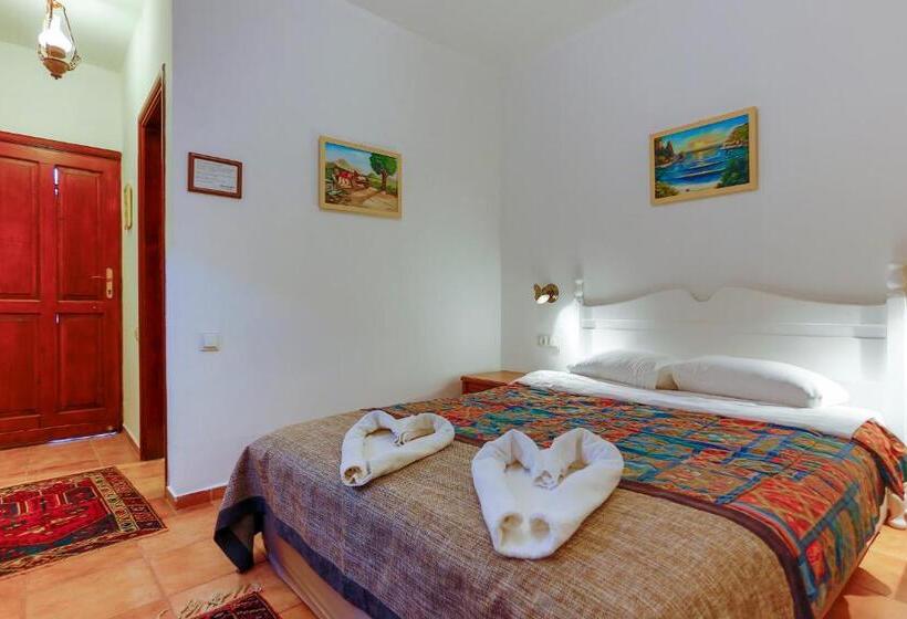 Camera Standard, Atelya Art