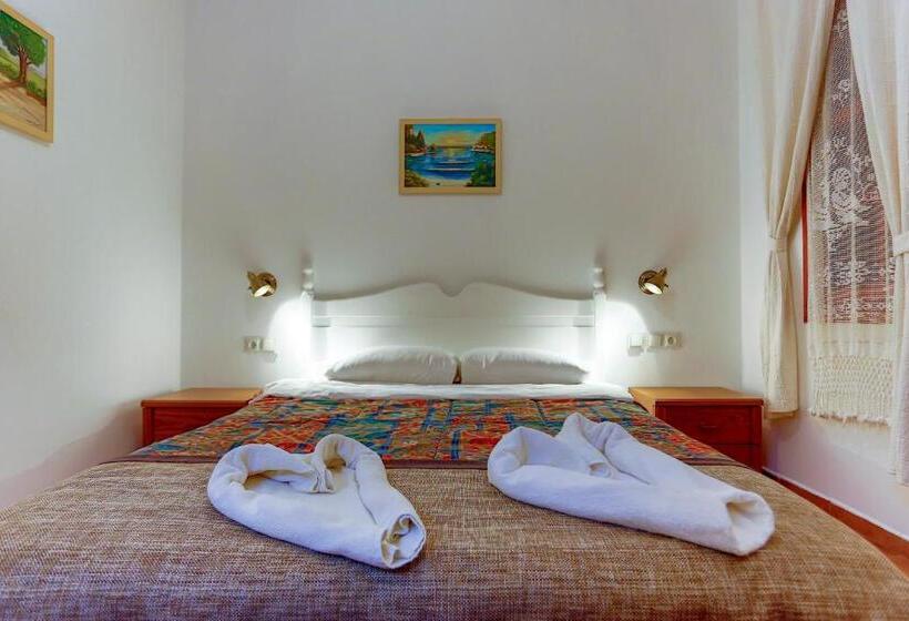 Camera Standard, Atelya Art