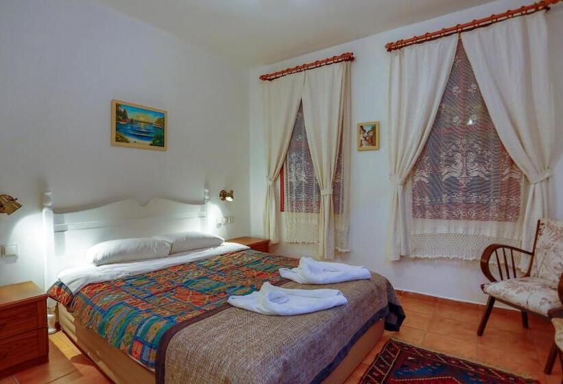 Camera Standard, Atelya Art