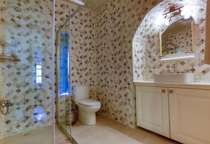 Camera Standard, Atelya Art