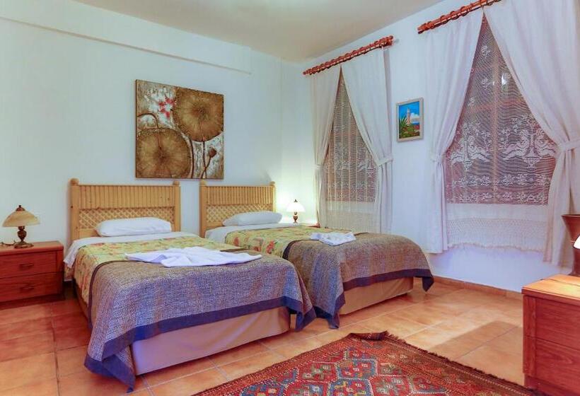 Camera Standard, Atelya Art