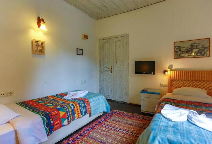 Camera Standard, Atelya Art