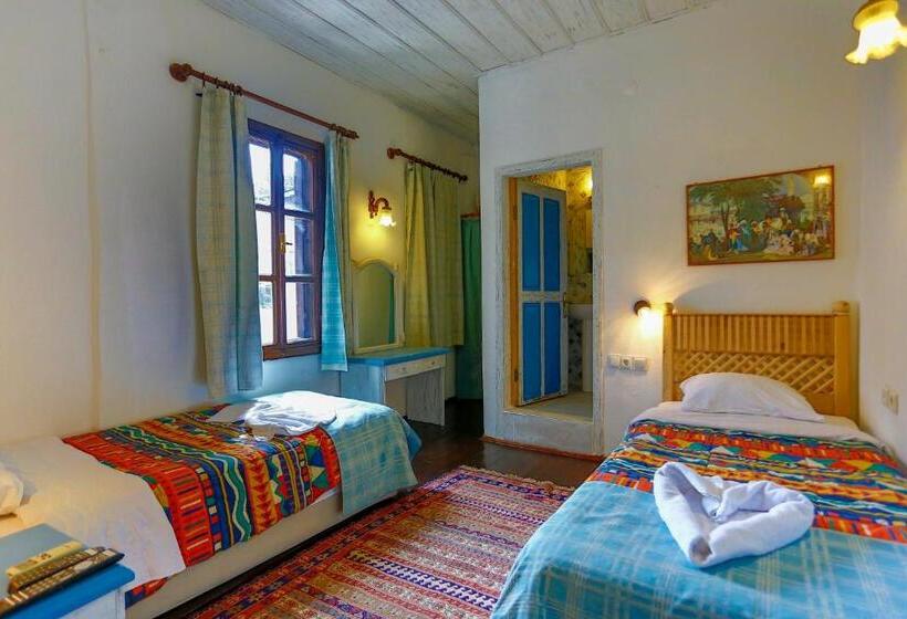 Camera Standard, Atelya Art