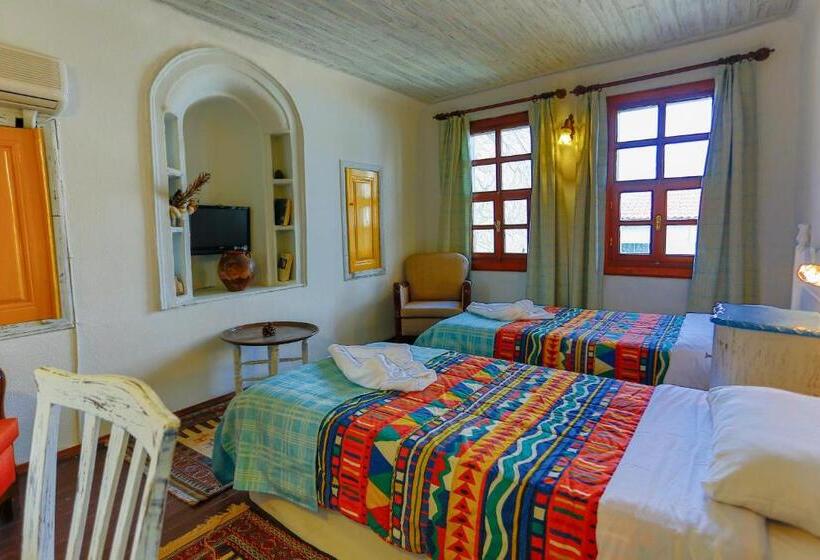 Camera Standard, Atelya Art