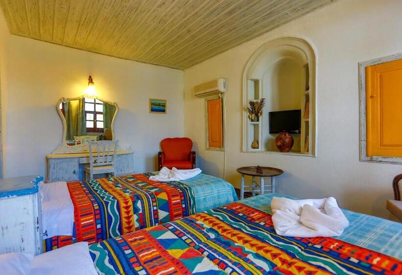 Camera Standard, Atelya Art