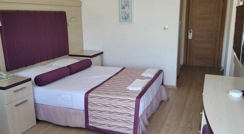 غرفة قياسية, Bronze