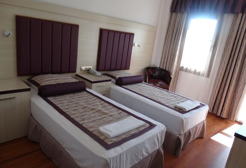 غرفة قياسية, Bronze