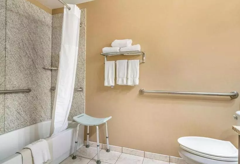 اتاق استاندارد با تخت بزرگ برای معلولان, Clarion Pointe Medford