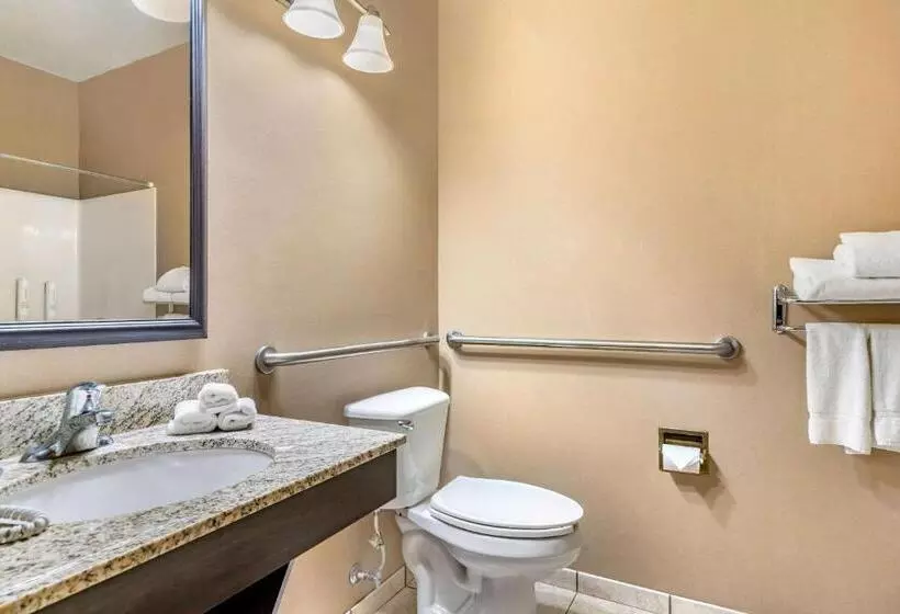 اتاق استاندارد با تخت بزرگ برای معلولان, Clarion Pointe Medford